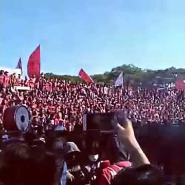 PSM mks macan jadi kucing 🐈