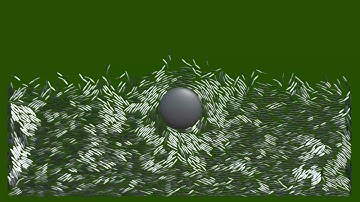 Simulation of Liquid Crystals!