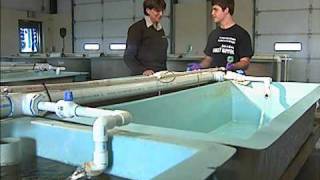 Wet Work Explores A Fish Hatchery (Part 2) 1Mbps_Stream.wmv