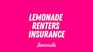 Lemonade - Renters insurance claims handled instantly