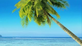 Ab In Den Urlaub.de Gutschein Einlösen Auf Gutscheine.de