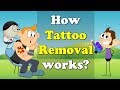 How Tattoo Removal works? + more videos | #aumsum #kids #science #education #children