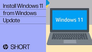 install windows 11 from windows update in windows 10 | hp support