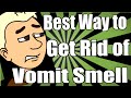 Best Way to Get Rid of Vomit Smell Best Way to Get Rid of Vomit Smell