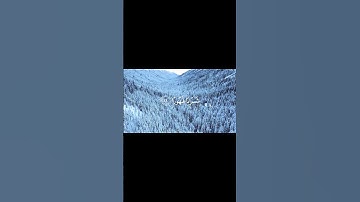 📖 وَإِذَا رَأَيْتَ ثَمَّ رَأَيْتَ نَعِيمًا وَمُلْكًا كَبِيرًا | تلاوة مؤثرة للشيخ محمد اللحيدان