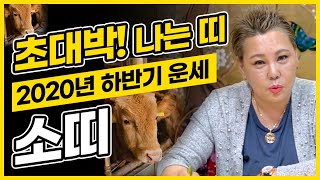 [2020년 하반기운세]  6월~12월에 초대박 터지는 소띠?!  ''소띠분들 경사났네~~''  엑소시스트 …