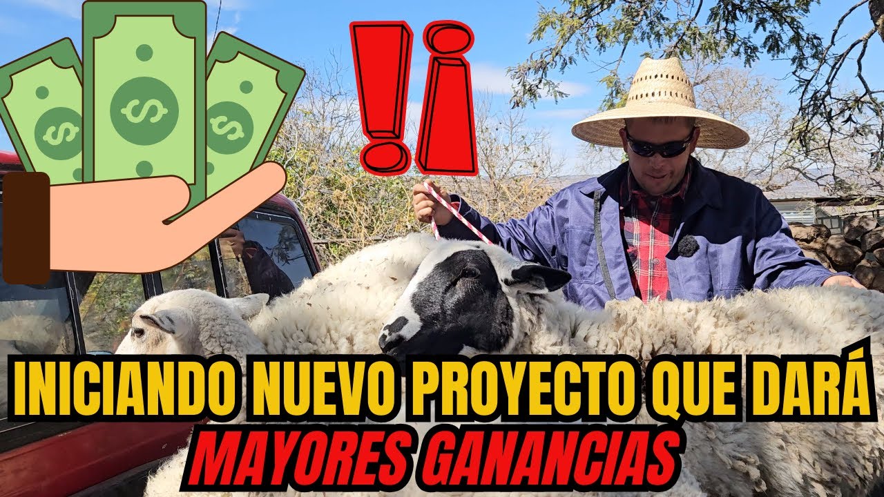 INICIANDO NUEVO PROYECTO que dará MAYORES GANANCIAS | COMENZANDO DESDE CERO | RancheandoAndo