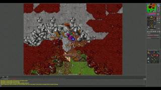 Lets Play Tibia: New House and Guild Recruitment. (ENG)