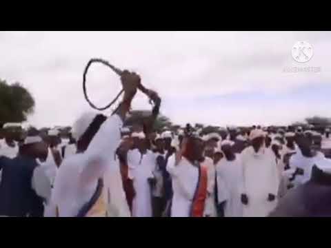 ابشر ياعريس ابشر يازول جنوب كردفان غرب بارا مسآء الافراح دار حامد