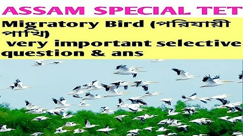 Assam special Tet /Migratory Bird (পরিযায়ী পাখি) /very important selective question & ans/EVS