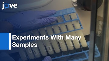 Lipid Extraction & Analysis Method: Characterizing Soil Microbes l Protocol Preview