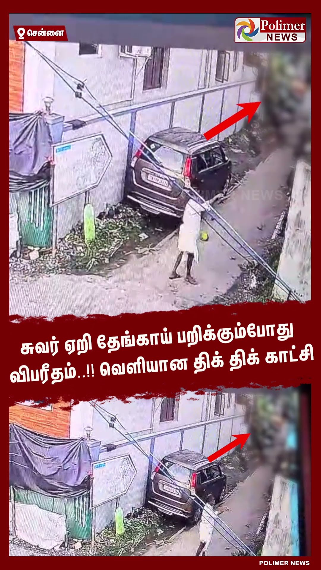 சுவர் ஏறி தேங்காய் பறிக்கும்போது விபரீதம்..!! வெளியான திக் திக் காட்சி .. #shorts