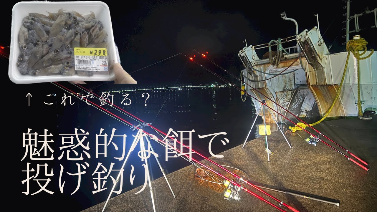 魅惑的な餌で投げ釣り…ホタルイカで投げ釣りをすると？