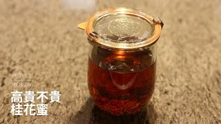 【自製桂花蜜好簡單】- 高貴不貴桂花蜜 