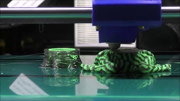 Dual Extruder Frog 8x