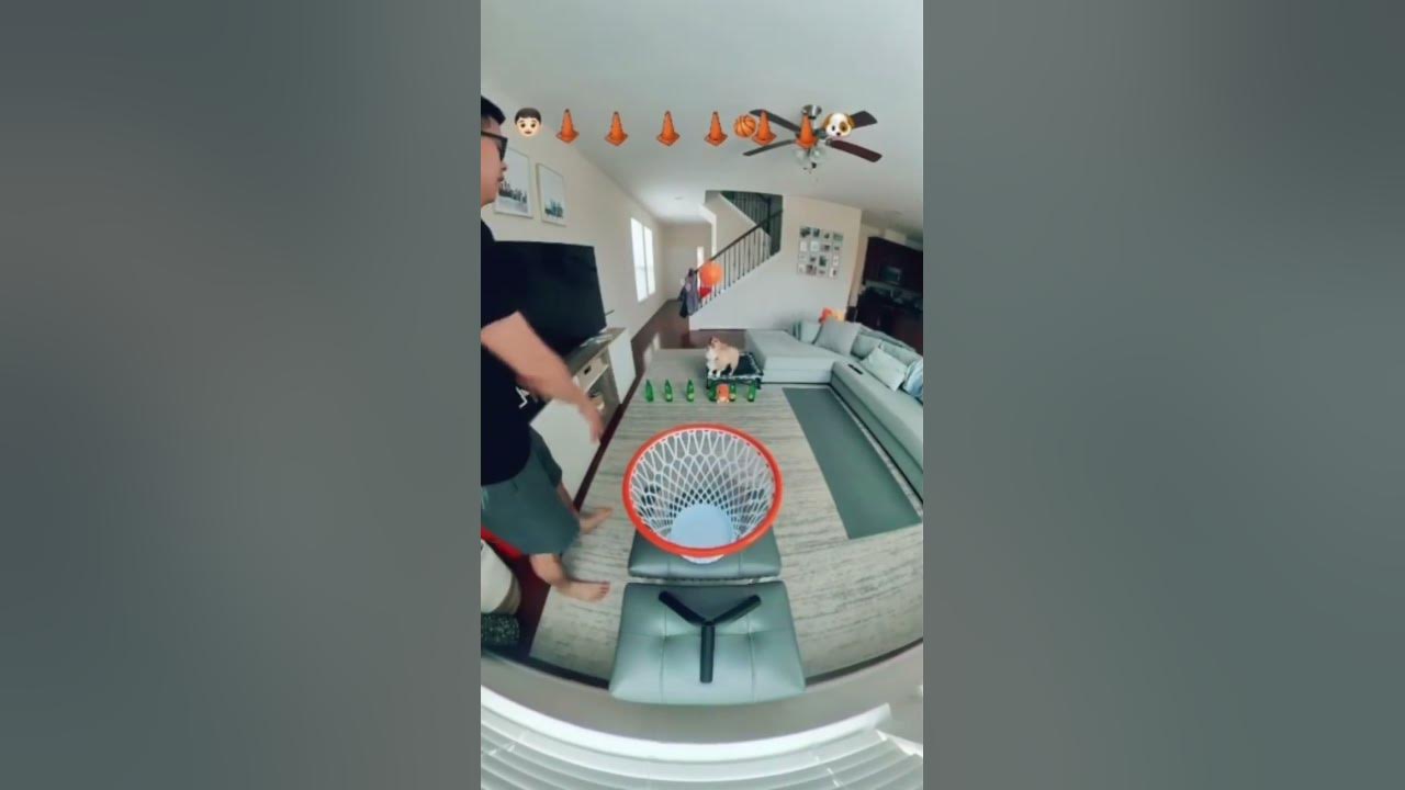 3-pt-shooting-contest-against-my-corgi-trickshots-youtube