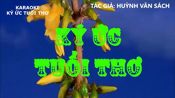 KARAOKE  KÝ ỨC TUỔI THƠ dây kép