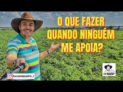 O que fazer quando ninguém me apóia?
