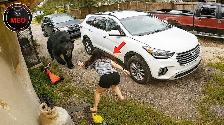 Incredible Moments Caught on Camera P201