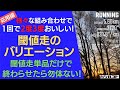 様々な組み合わせで、1回で2度3度おいしい！閾値走のバリュエーション 閾値走単品だけで終わらせたらもったいない！