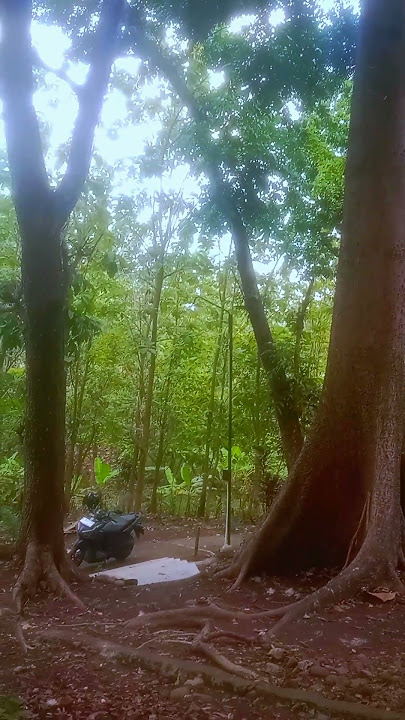 Makam Leluhur Desa sojomerto, gemuh, #kendal, mbah Sidotoyo