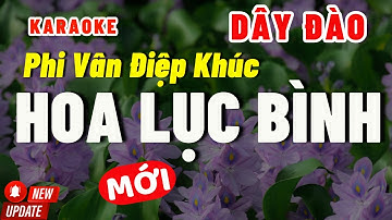 Karaoke Hoa Lục Bình Dây Đào | Phi Vân Điệp Khúc