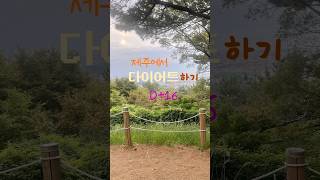 16일차(-2.1kg)