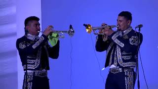 mariachi sol de mexico discografia descargar gratis mariachi sol de mexico discografia descargar gratis