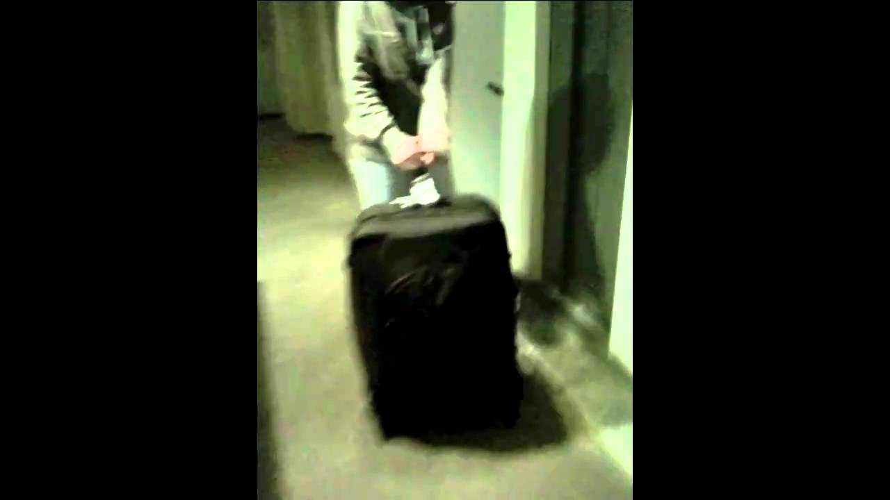 Alex fits in her suitcase.