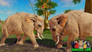 Asian Elephants Clash In Intense Head On Battle! | ROBLOX Jungle Life