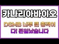 카나리아바이오, DSMB의 추적권고! 아직 가능성은 있습니다!