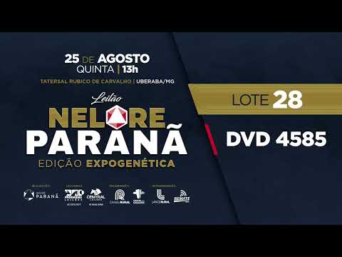 LOTE 28 DVD 4585