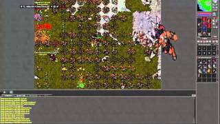 Rushando Druid em oramond, lvl 50+ com waste