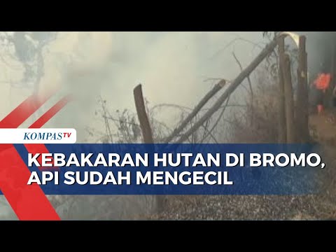 Update Kebakaran Taman Nasional Bromo Tengger Semeru: Api Sudah Mengecil