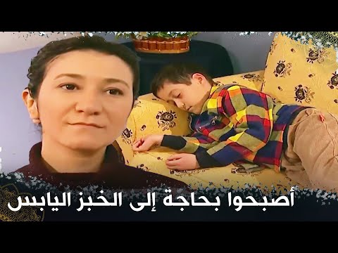 يا رب، يا له من حيات - الحقيبة