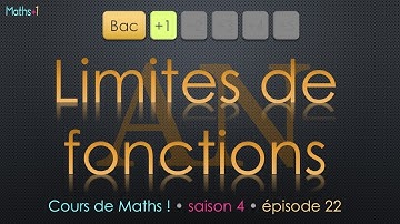22. Limites de fonctions  (Bac+1)