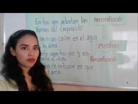 Video: Codependencia. Metáforas. Poema En Prosa