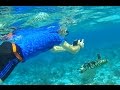 Grand Cayman Drift Snorkel