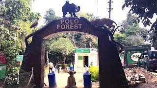 Polo Forest and Mountains - One Day Picnic Place - Vijaynagar Sabarkantha Gujarat India