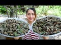 Yummy Whelk Cooking Coconut Juice Recipe - Cooking Skill