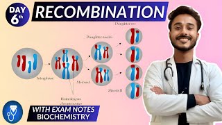 genetic recombination biochemistry | biomolecules biochemistry | biochemistry |