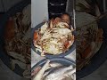 Zangaria ou tapagem#tipodepesca#esposo#provedor#faturaboa🐟🐟🦀🦀