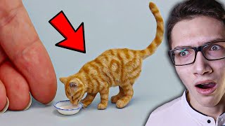 видео: НИКОГДА НЕ СМОТРИ ВИДЕО ПРО КОТИКОВ в 3 ЧАСА НОЧИ 😱 СМЕШНЫЕ КОТЫ в ТикТок! *смешные приколы* картинка: НИКОГДА НЕ СМОТРИ ВИДЕО ПРО КОТИКОВ в 3 ЧАСА НОЧИ 😱 СМЕШНЫЕ КОТЫ в ТикТок! *смешные приколы*