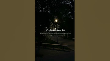 #قران_كريم 🤍القارئ عبدالرحمن مسعد 😔