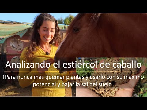 Video: Estiércol De Caballo: Pros Y Contras