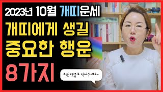 10월 개띠운세  애정운/직장운/금전운/사업운/대인운/처신법/수호신/행운컬러