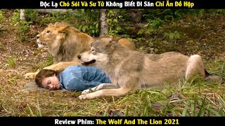 Review Phim: Sinh Ra Làm Chúa Sơn Lâm Nhưng Lại Không Biết Săn Mồi | Chó Sói Và Sư Tử | Linh San