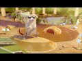 Zoobabu: Meerkat (Accessible Preview)