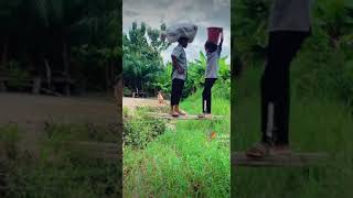 funny ??? video #africandance #shortvideo