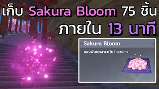 [Genshin impact] เก็บ Sakura Bloom 75 ชิ้น ภายใน 13 นาที